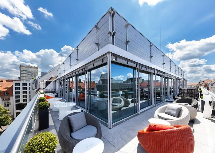 Western Premier Royal Blue - Adult Only